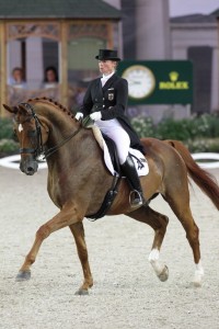 1hanoverian-687x1030